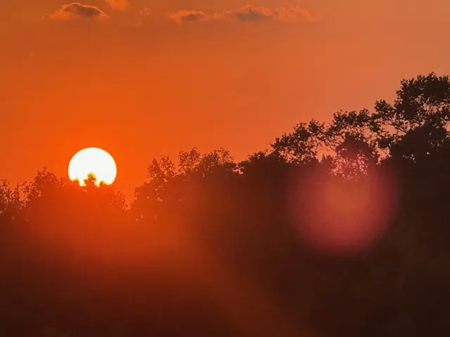Sundown over the pines
